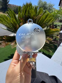 Shimano Telica 20 2-Speed Lever Drag Saltwater Reel
