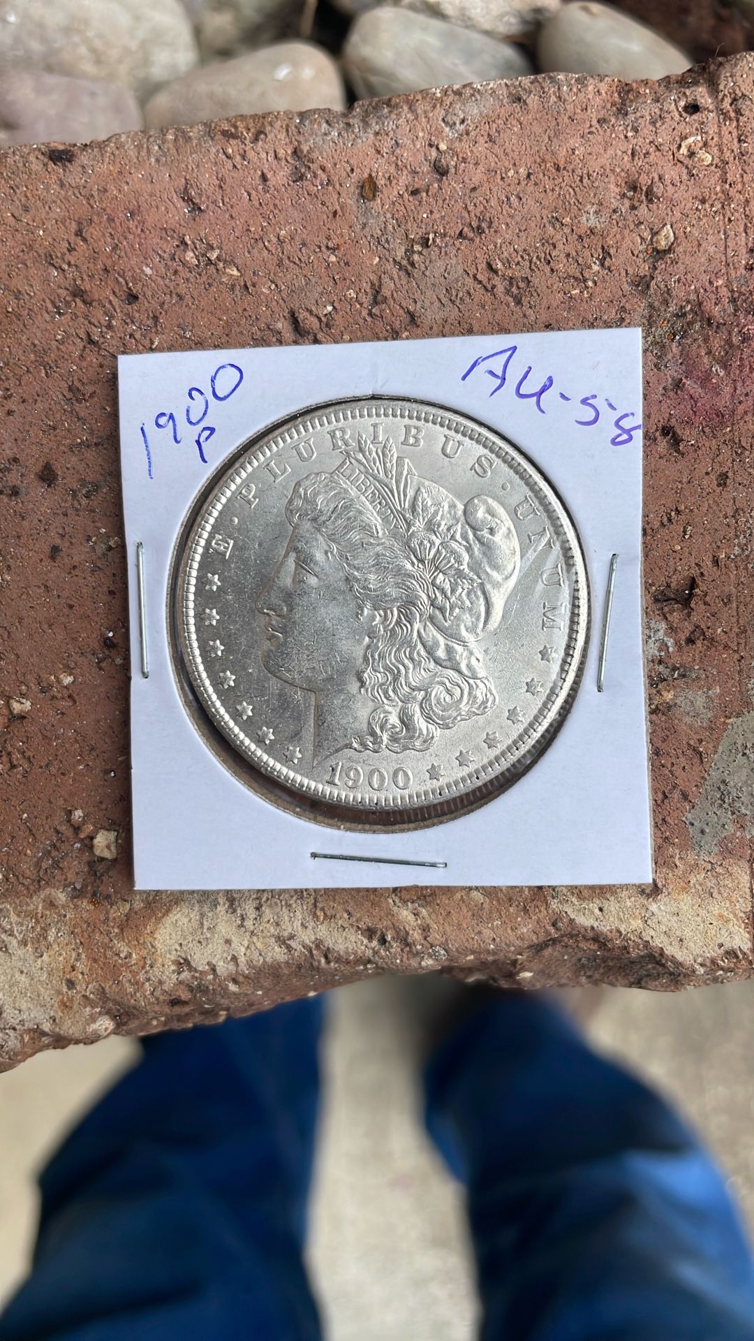Silver Dollars In Collectables
