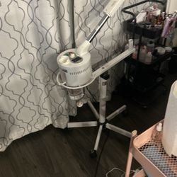 facial steamer 