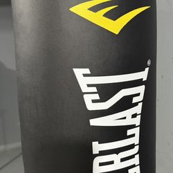 Punching Bag
