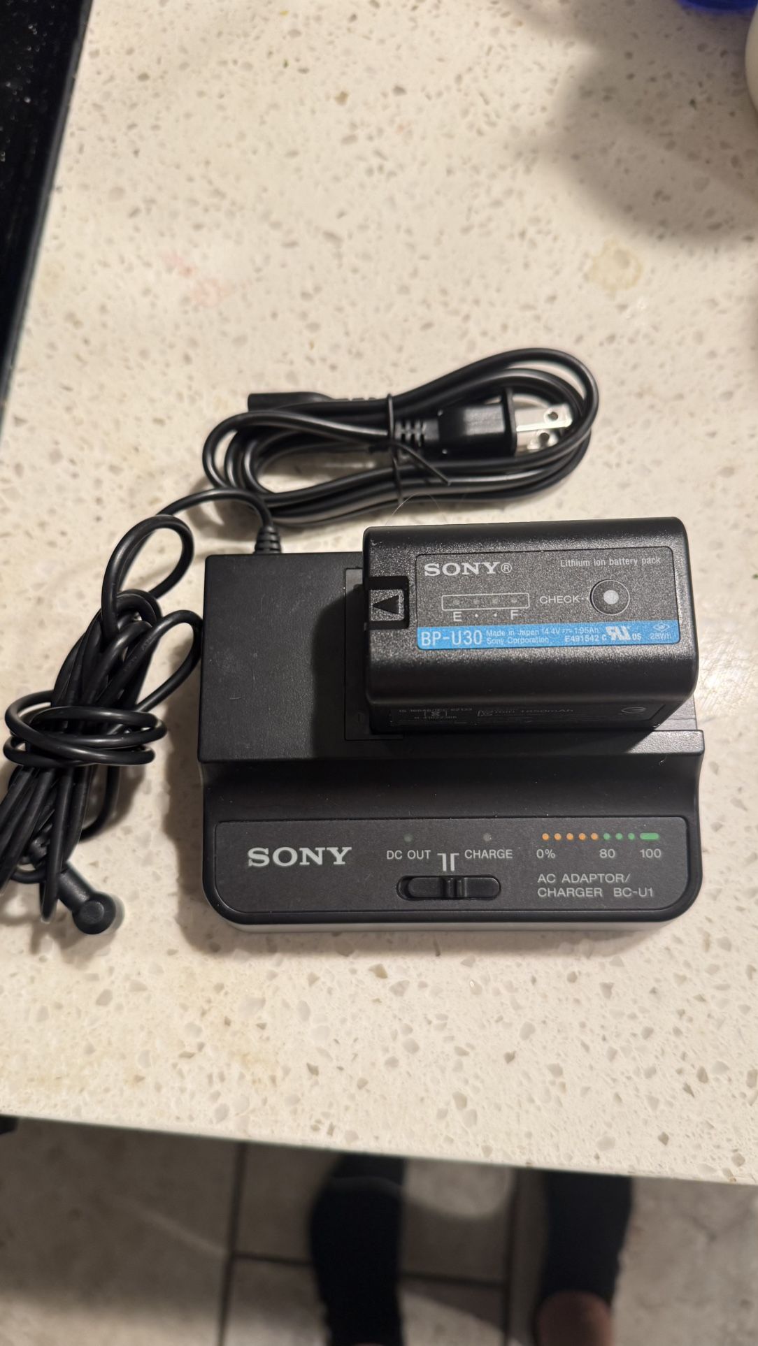 Sony Charger/Ac unit BC-U1 and Battery BP-U30