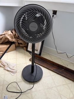 Fan