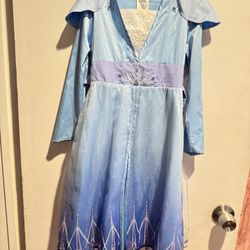 Frozen Elsa costume