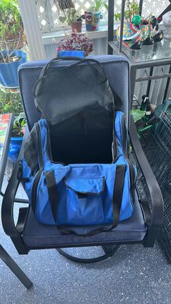 Dog car seat
