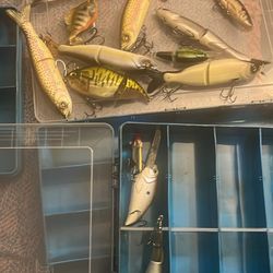 Evolution Fishing Back Pack By Itself Or With All The Lures And With Everything In It for 400 but The Backpack By Itself 150