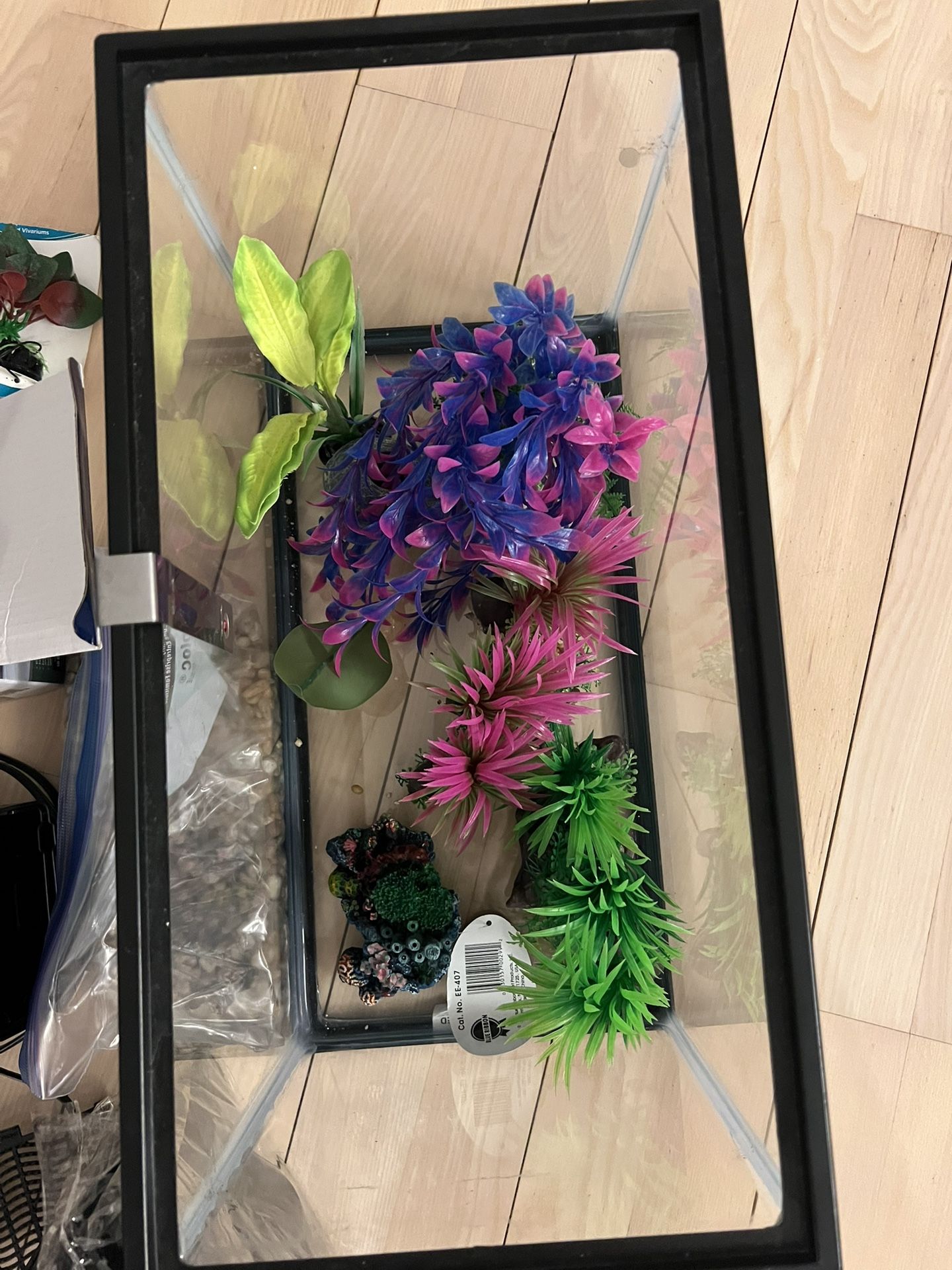 5 gal aquarium and set up