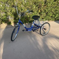 Sun Bicycles Adult Trike