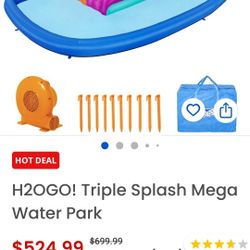 Gently Used Triple Waterslide 