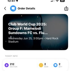 Mamelodi Sundowns FC v. Fluminense FC Club World Cup