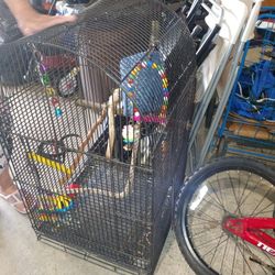 Bird Cage 