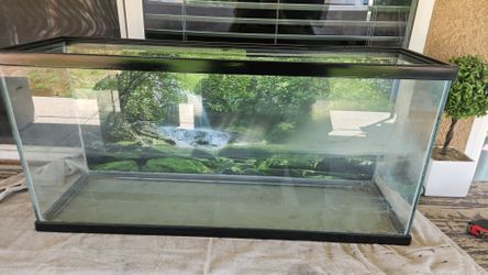 20 gallon long fish tank