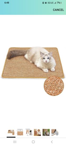 New Scratch pad