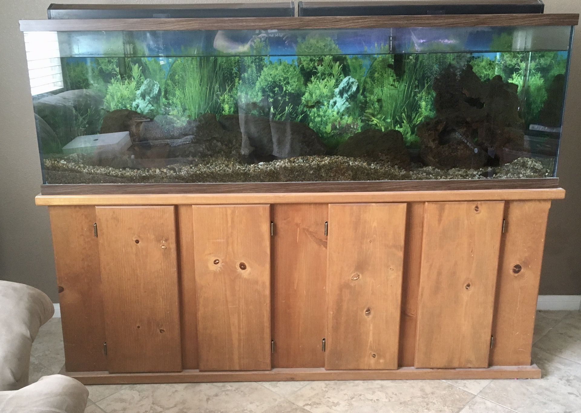 Large Aquarium Fish Tank