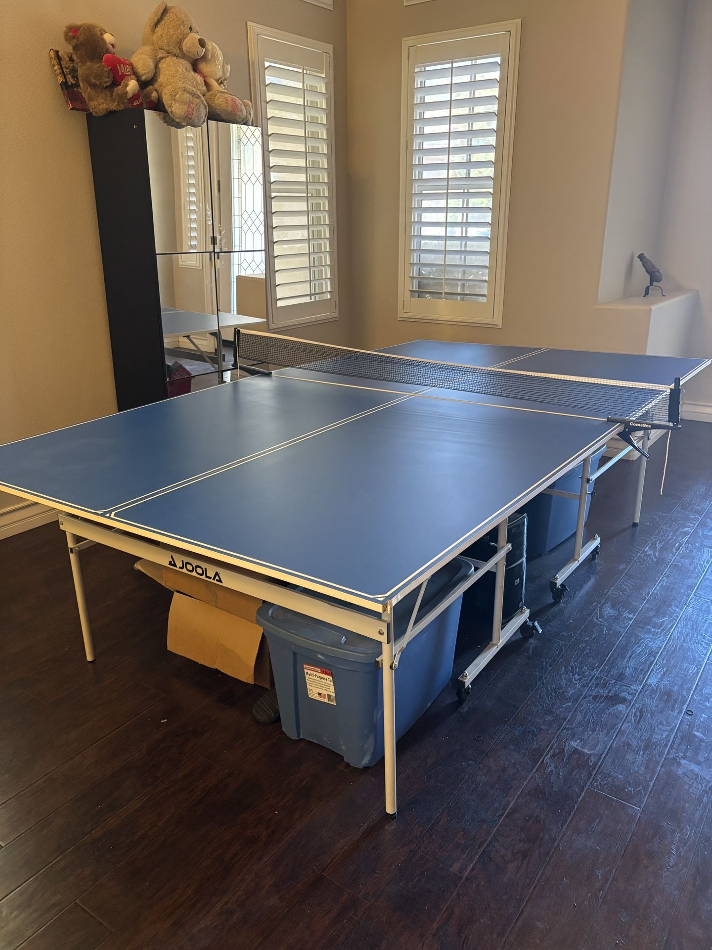 Ping Pong Table