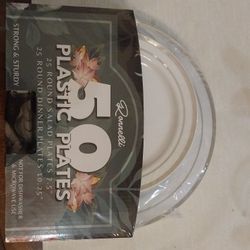 50 Plastic Plates Silver Rim