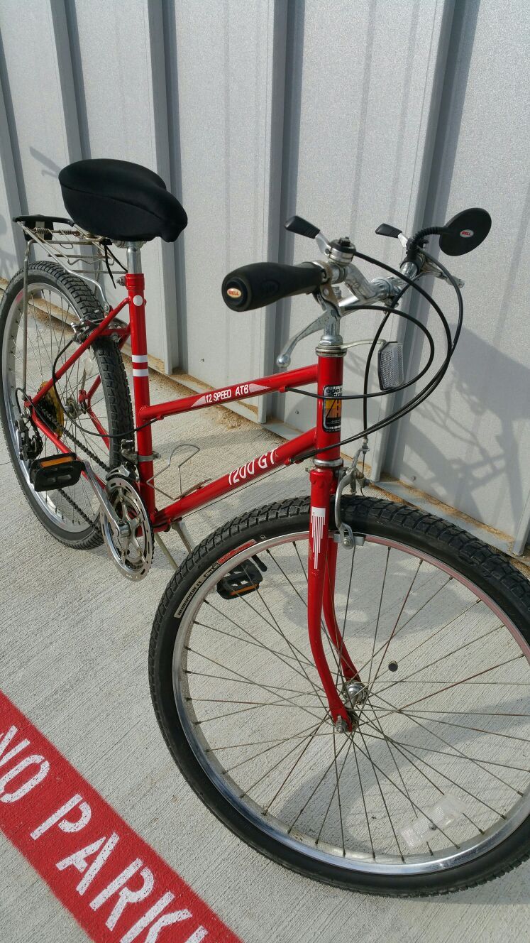 VINTAGE WOMEN'S 120 GT OPEN ROAD 12 SPEED BICYCLE!