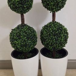 PAIR of 3ft Faux Boxwood Topiaries in 16" White Resin Planters (2 for $130) @ Lasting Creations