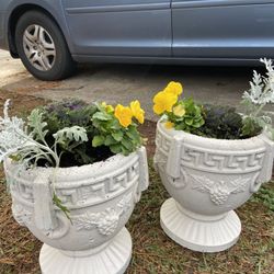 Urns With Winter Flowers