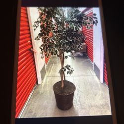 Artificial Tree Plant