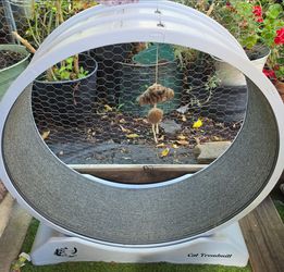 Cat wheel / cat treadmill