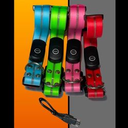 **NEW** ROCK LED DOG COLLARS