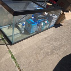 75 Gallon Tank