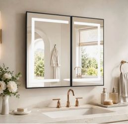 Double Panel LED Bathroom Mirror Black Frame