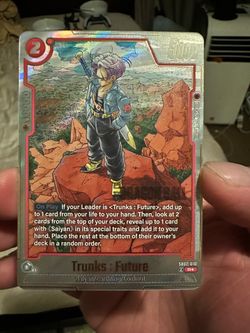 SB02 Future trunks