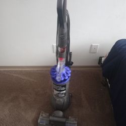 Dyson Ball Animal 2 Vacuum 