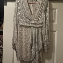 Silver shiny dress