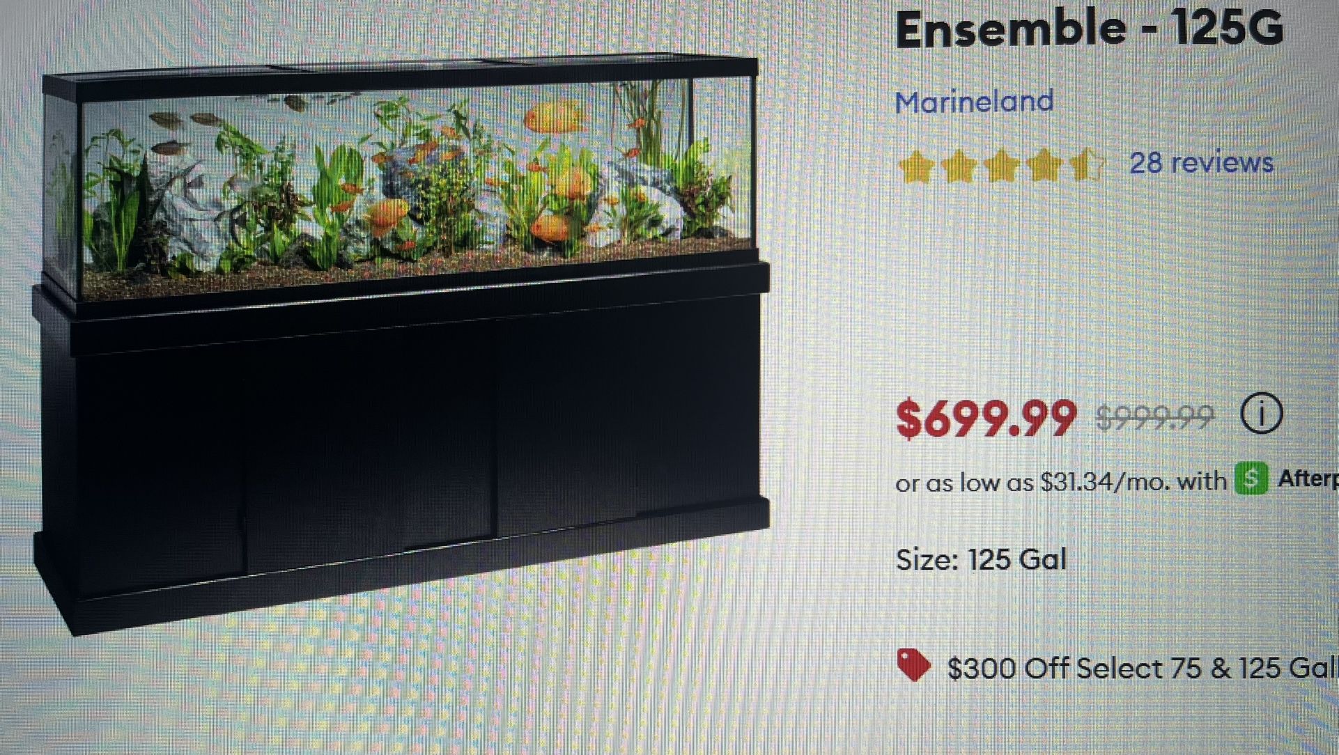 125 Gallon Fish Tank