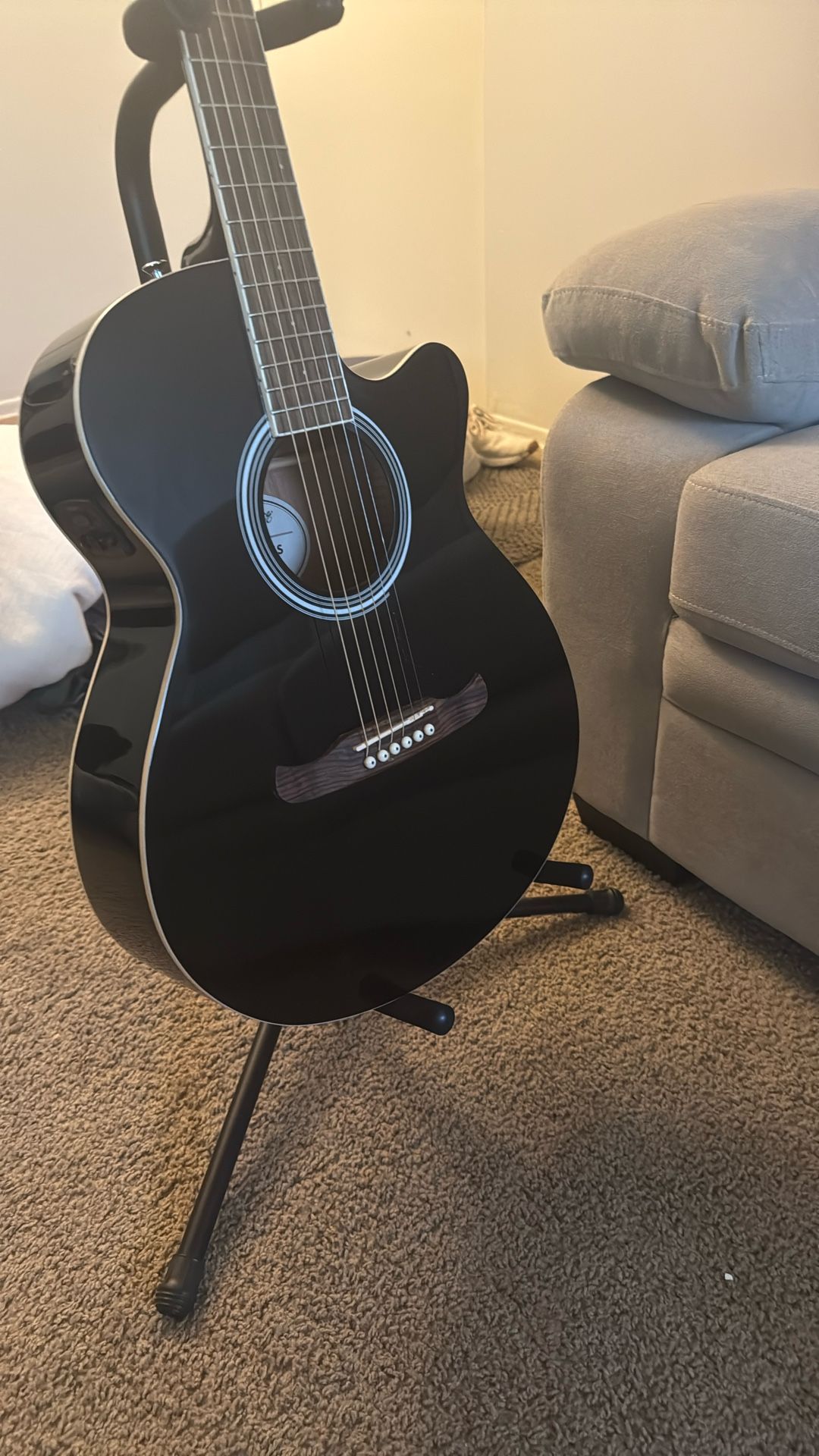Acoustic Electric guitar