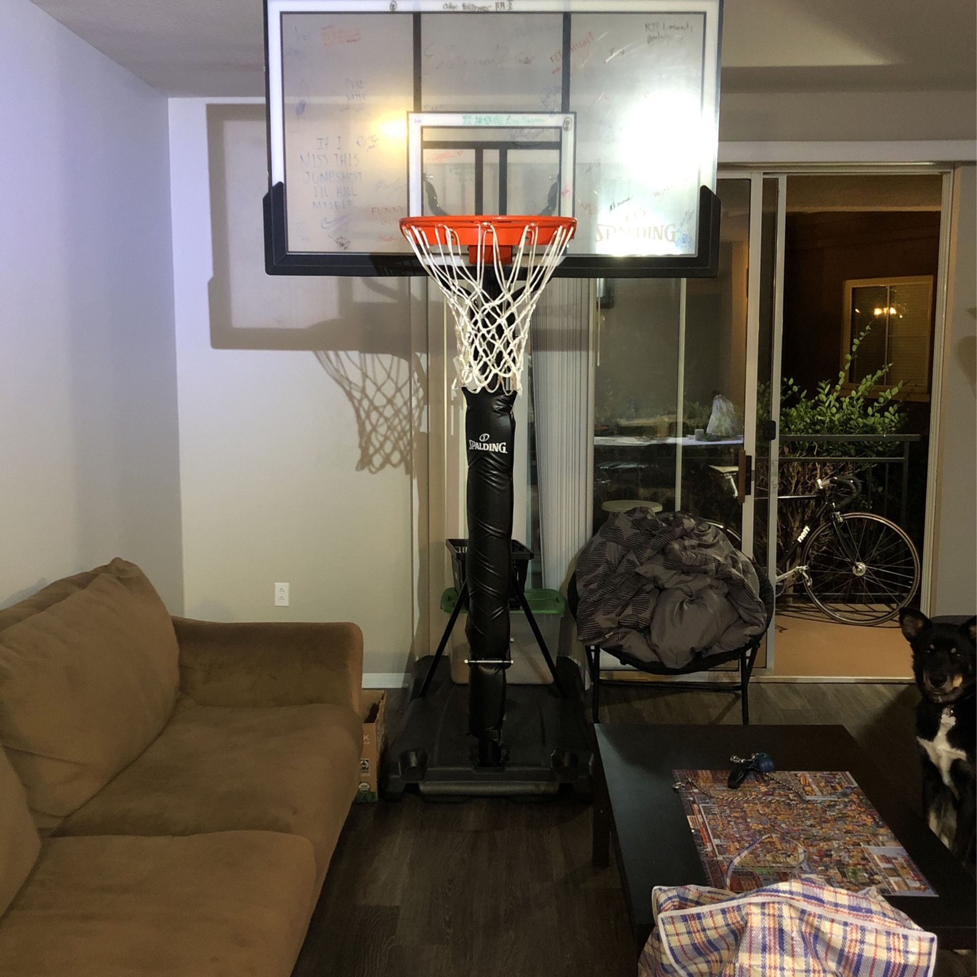 Full Sized Basketball Hoop