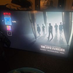 Vizio Flat Screen 