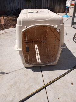 Dog House Large