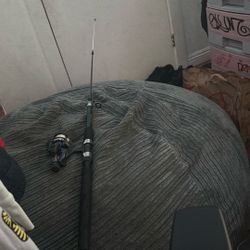 Fishing Rod