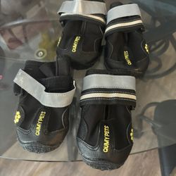 Zapatos Para Perros