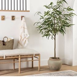 Eucalyptus Tree designed by Studio McGee - Threshold - 64 x 11 