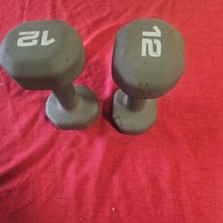 12lb Dumbell 