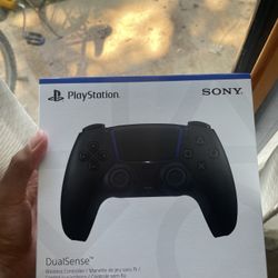 Ps5 Controller 