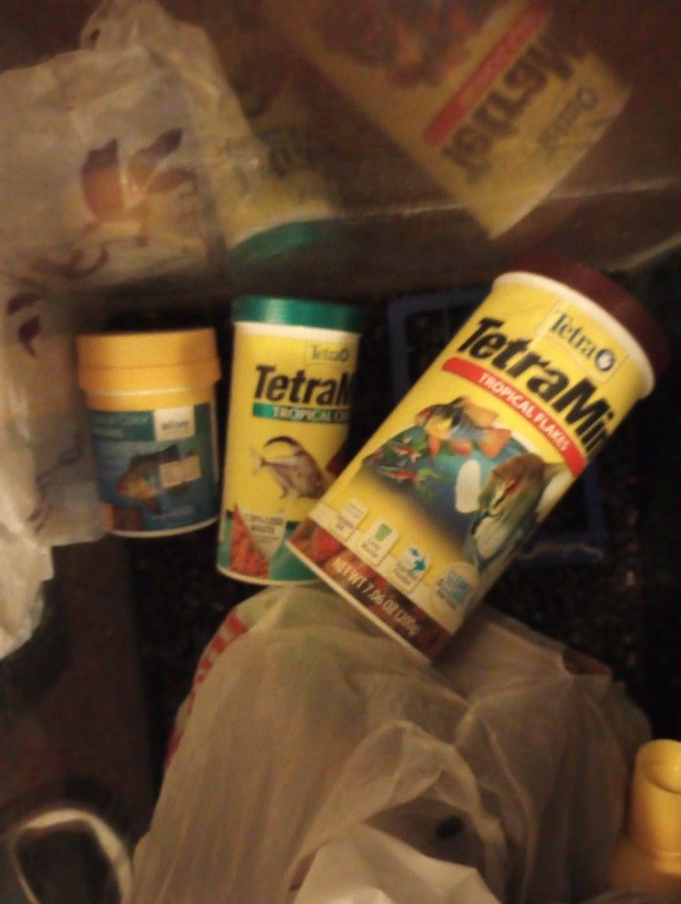 Fish Tank With Every Necessity 