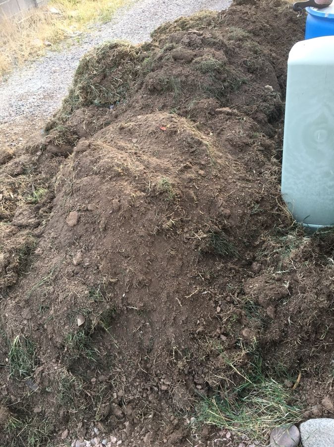 Free Pile of sod/dirt