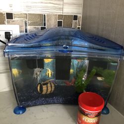 FISH TANK WITH 2 FISHES AND FISH FOOD AND FILTER