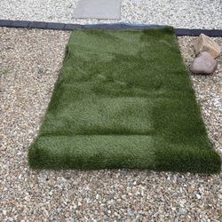 Artificial Turf Remnant 