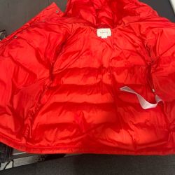 Gucci And Burberry Coat