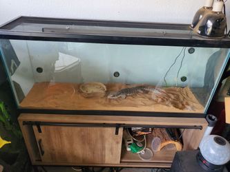 Reptile terrarium with cabinet