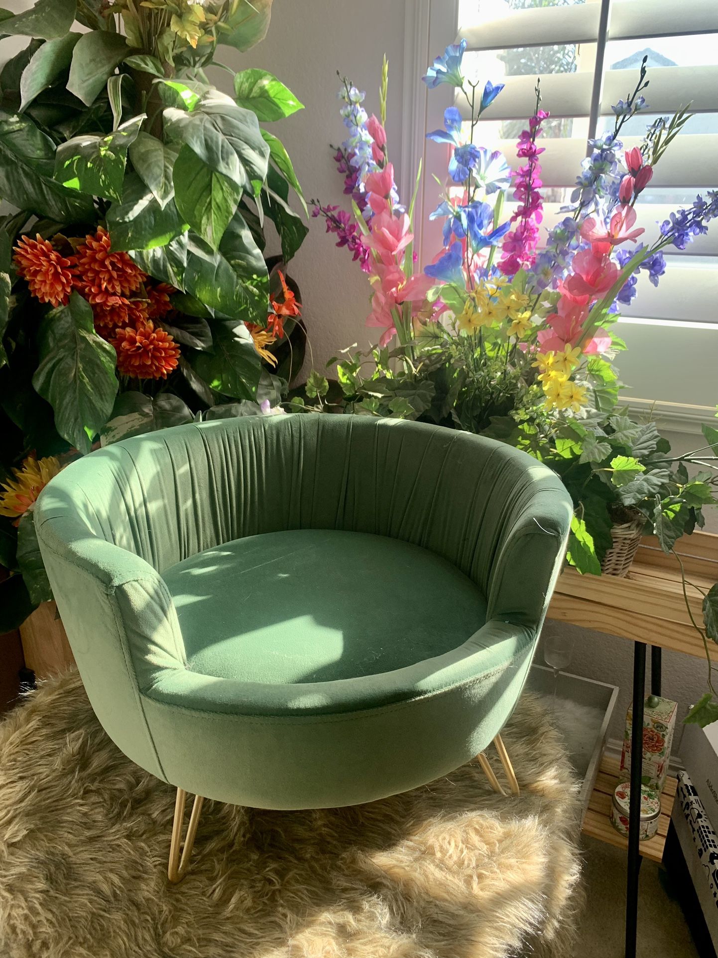 Elegant Chic Olive Dog Round Couch