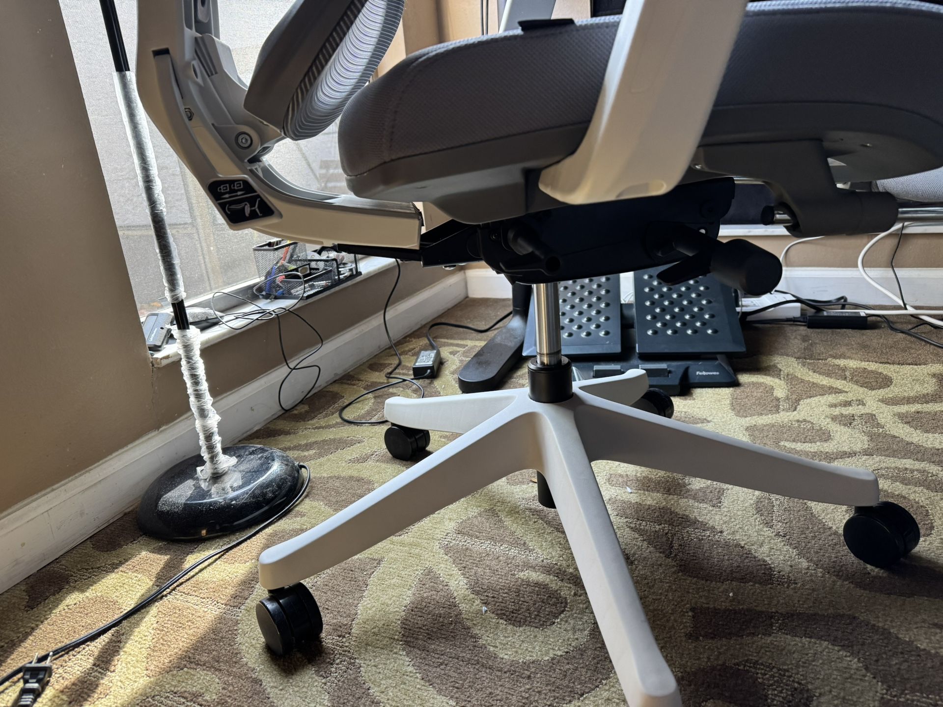 Fexisport -C7 Series Premium Ergo Office Chair