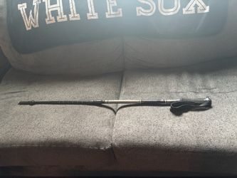 Hiking stick