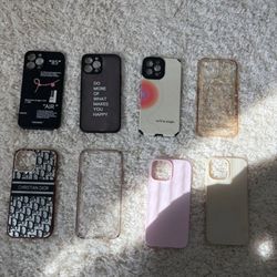 iPhone 13 Pro Max Cases 
